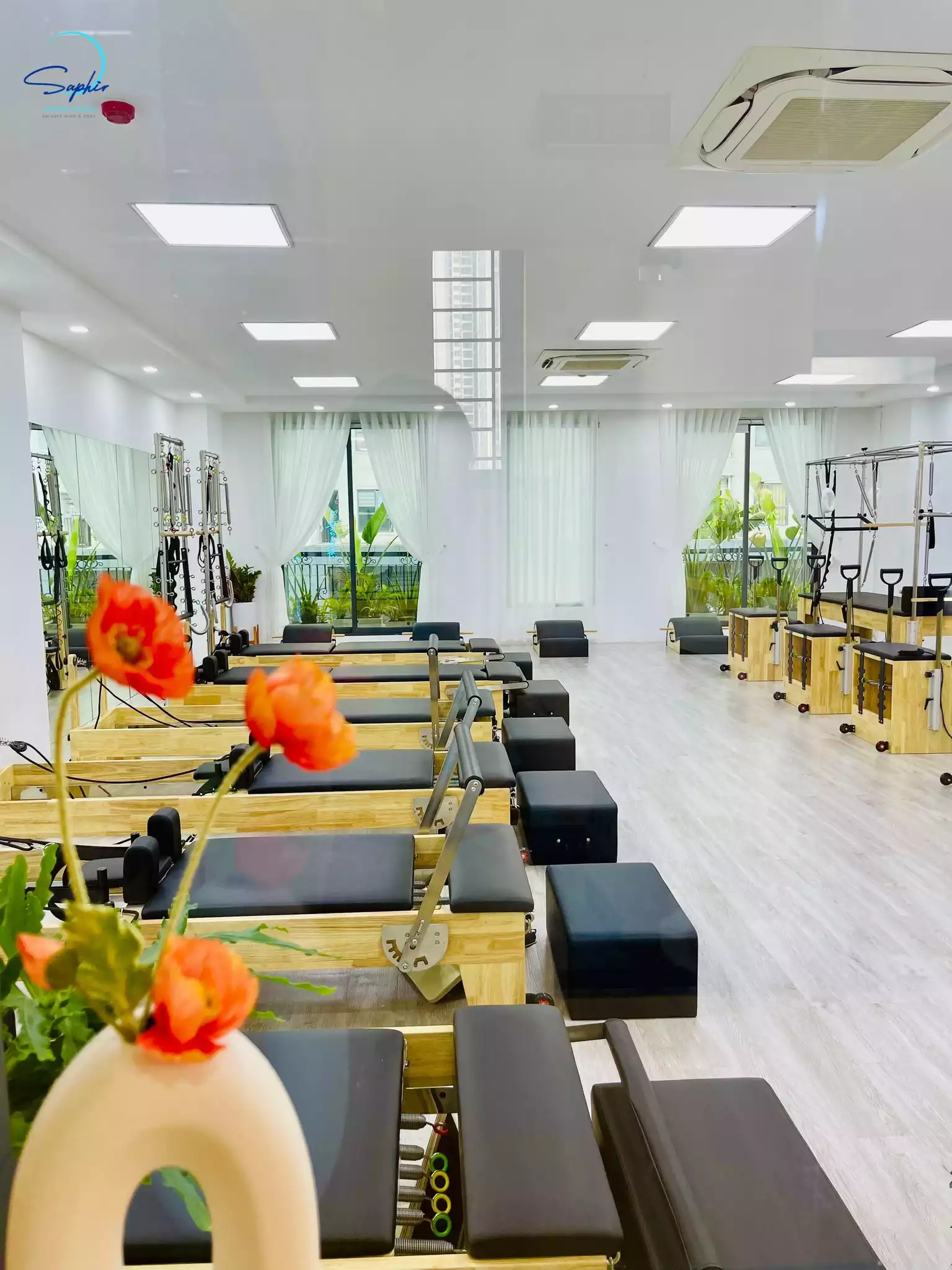 305292429 1286835825185418 5802772886476150395 n