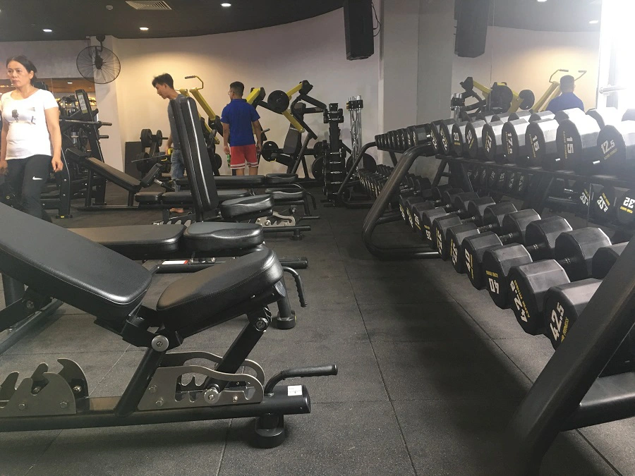 img 3321 5fc7980f 777d 4d29 9c44 118f44798334